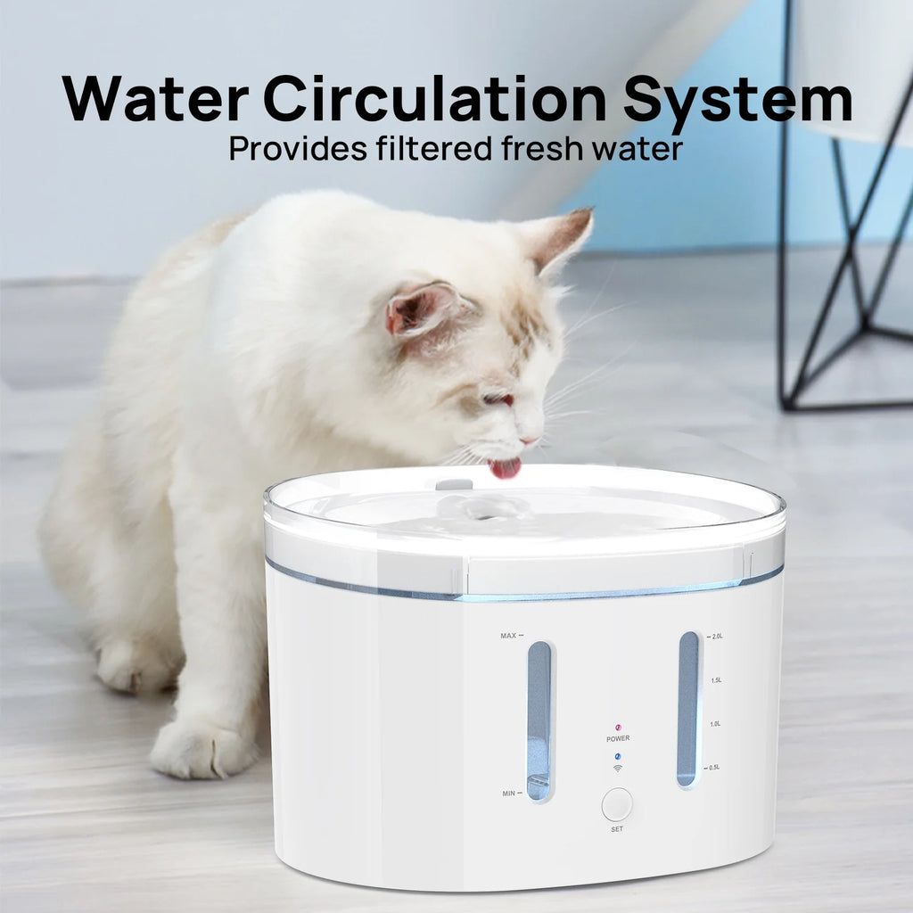 Smart Pet Water Fountain